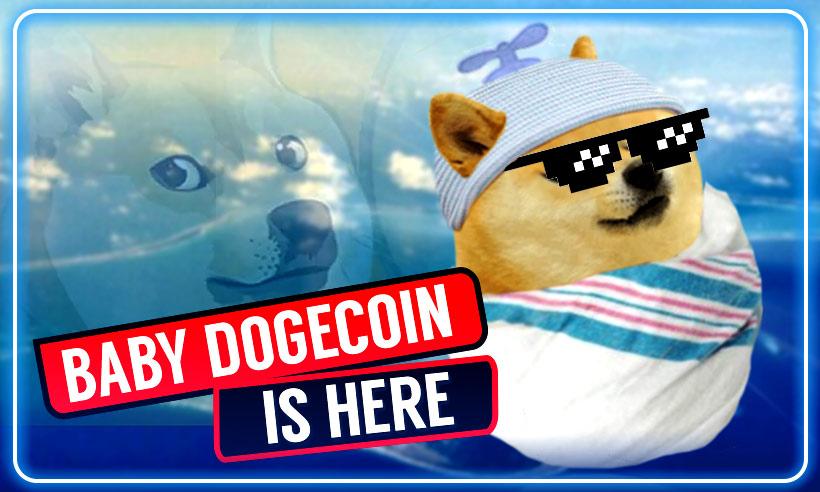 BabyDoge Can Now Be Purchased through Credit Card With Simplex
