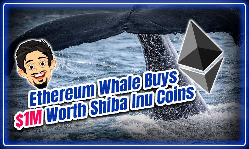 Ethereum Whale Buys $1M Worth Shiba Inu Coins