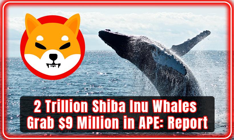 Shiba Inu Whales