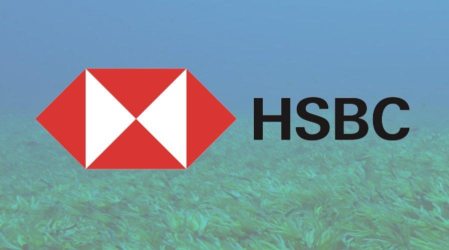 HSBC Moves $20B Worth of Assets into Revolutionary Blockchain Digital Vault