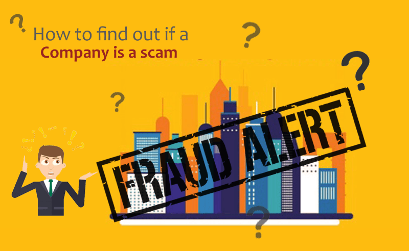 Guide For Cryptocurrency Scams | How To Find If A Company Is A Scam?
