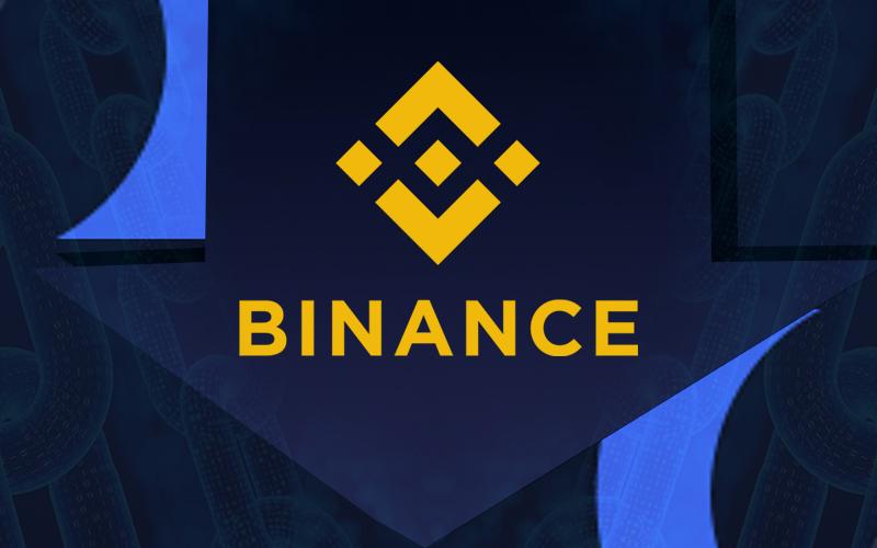 Binance Merges With Elrond Blockchain To Add BUSD On Its Network