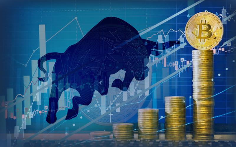 Adamant Capital Co-Founder Tuur Demeester Indicates Bull Run After Bottom