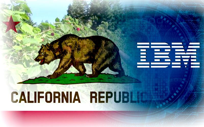 California Giant Berry Farms Joins IBM Food Trust