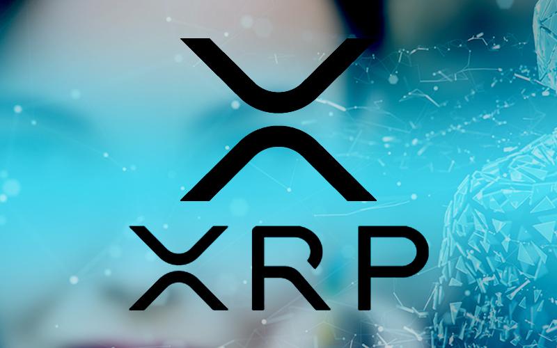 XRP scammers