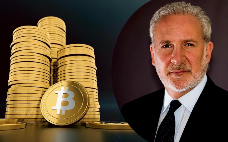 As Gold Price Goes Up, Bitcoin Will Collapse: Says Peter Schiff
