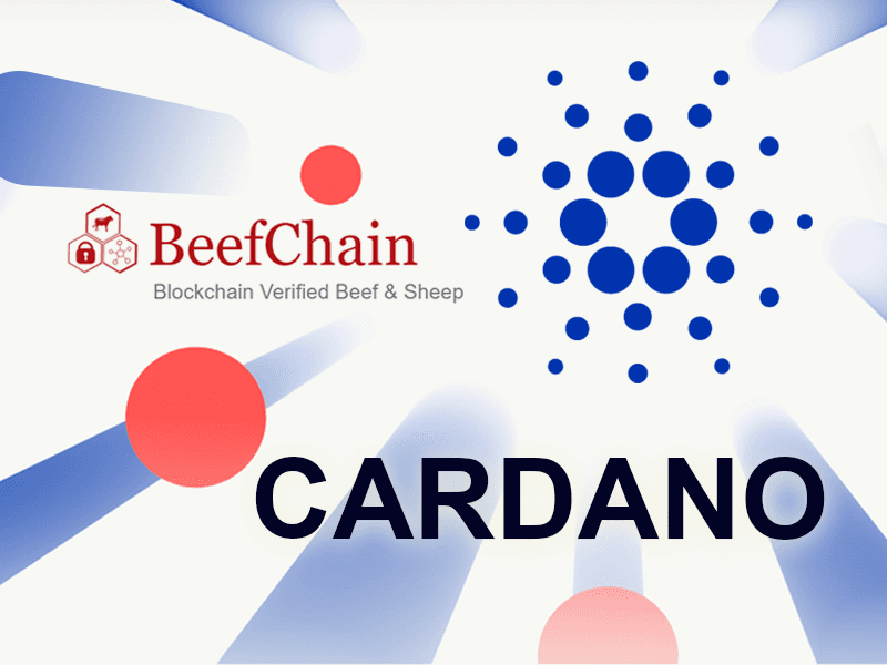 Cardano Collaborates With USDA Certified Beefchain