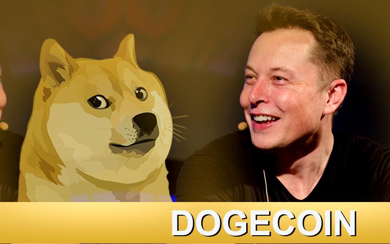 Elon Musk Is Searching DOGE Place in the Sun