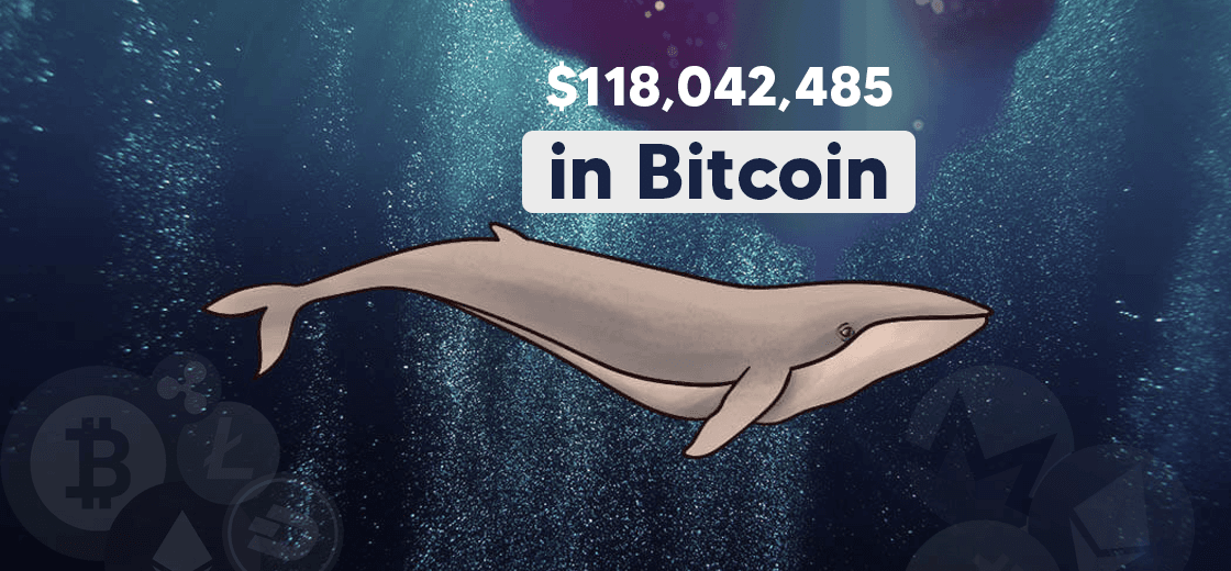 Crypto Whales Moves $118M Worth Bitcoin in Sixteen Hours