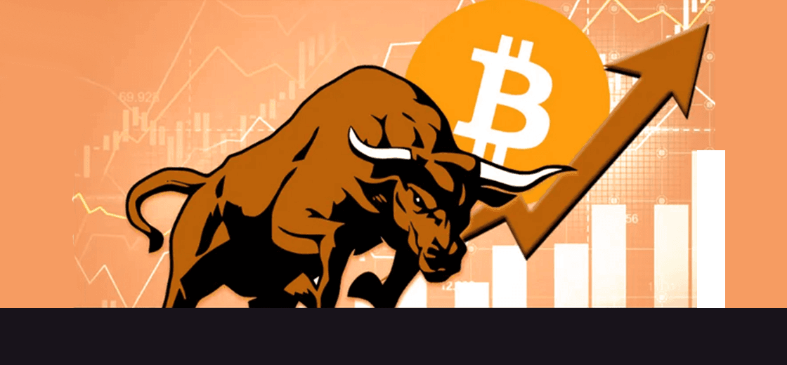 Bitcoin bull run metrics