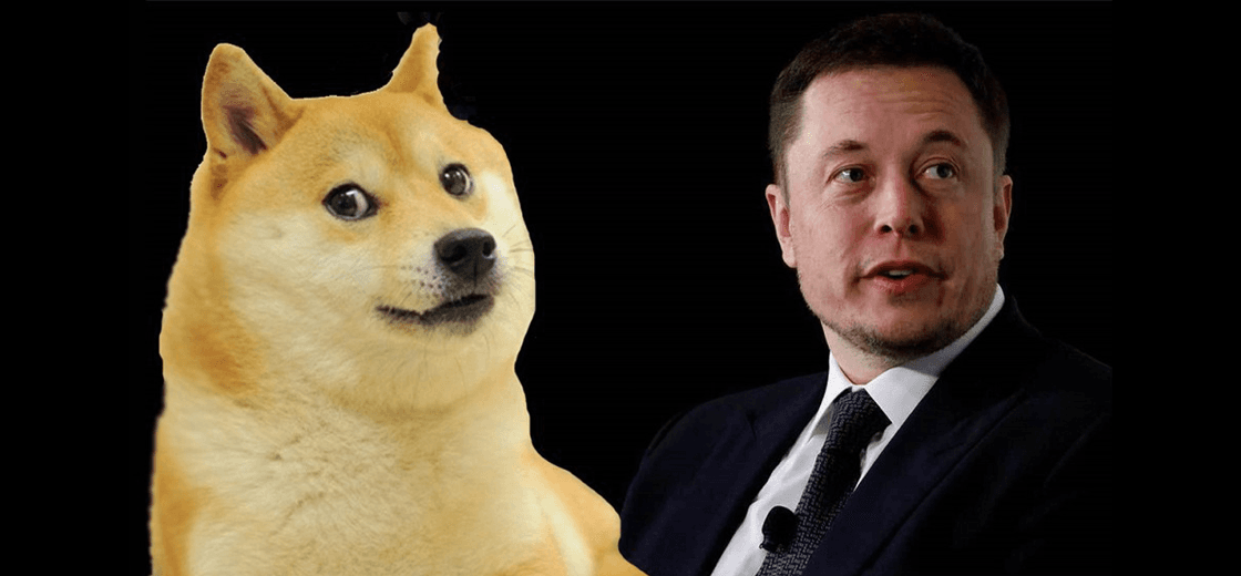 Elon Musk Dogecoin Holders