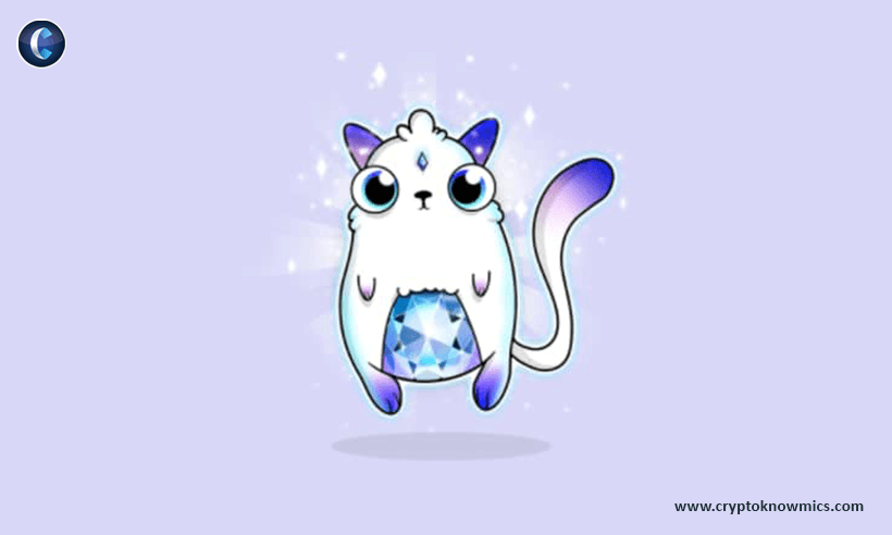 CryptoCats Reborn, When the Blockchain Takes Power Over Developers