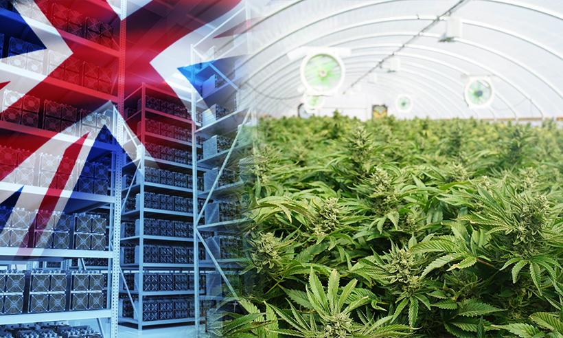 A Large Bitcoin Mine Discovered in UK Instead of Cannabis Plantation