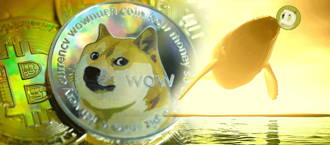 An Anonymous Dogecoin Holder Owns Billions Worth of Meme Coins