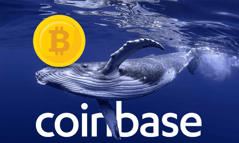 Another Crypto Whale Transacts 3,671 Bitcoin from Exchange