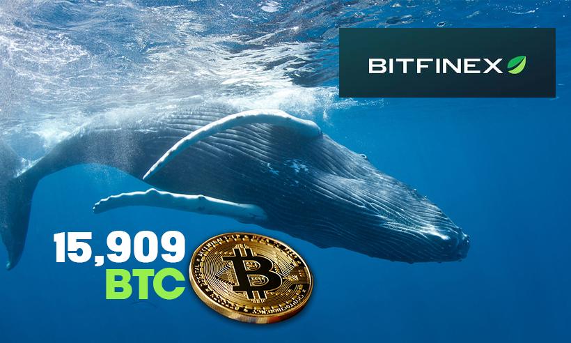 Bitcoin Whale Bitfinex
