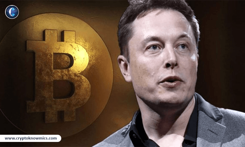 crypto future currency Elon Musk