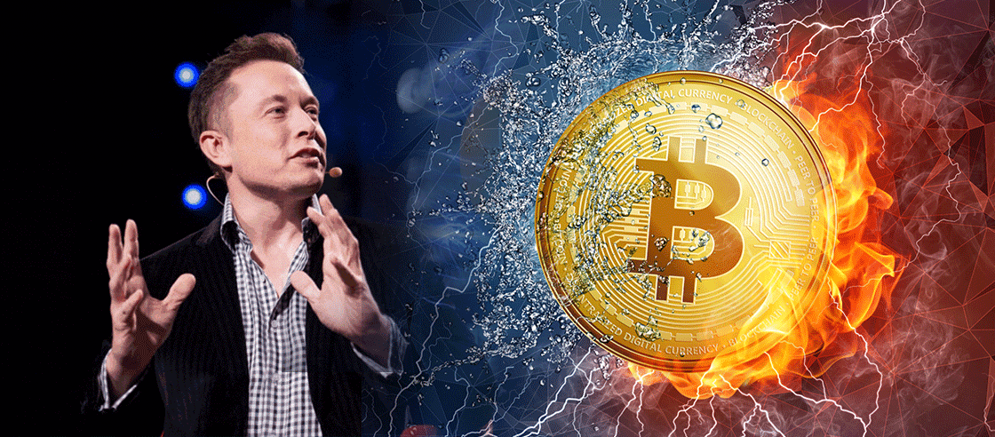 Elon Musk Bitcoin's dump