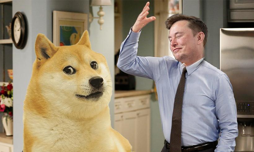 Elon Musk dogecoin memes