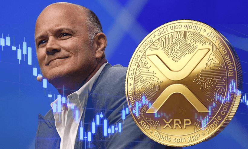 Novogratz Rant About XRP Supporters, Compared with Trump Army