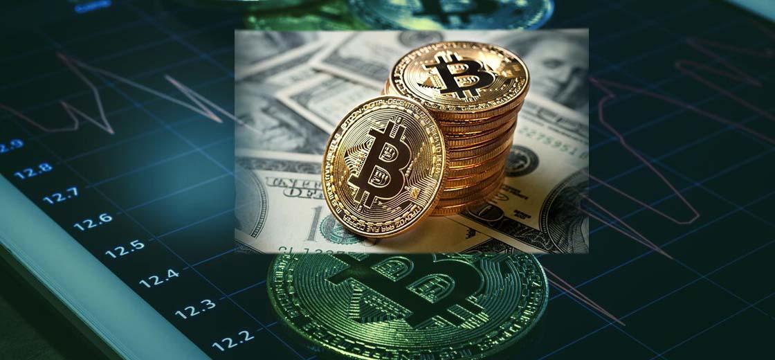 Bitcoin Investors Profit Crash
