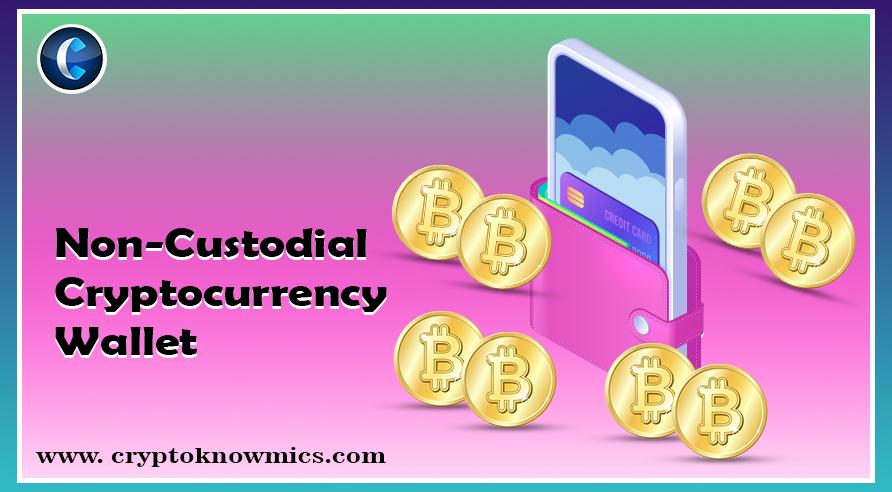 What Is a Non-Custodial Cryptocurrency Wallet and How It Helps to Control Your Digital Assets