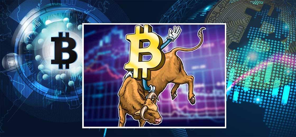 Willy Woo Believes Bitcoin Bull Run Not Yet Over
