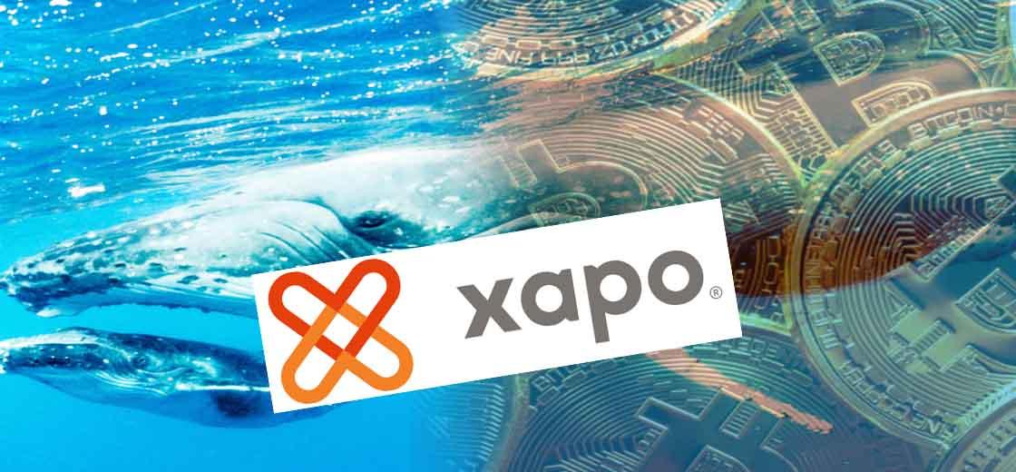 Bitcoin Whale Shifts 6,713 BTC to Xapo, Reveals Whale Alert