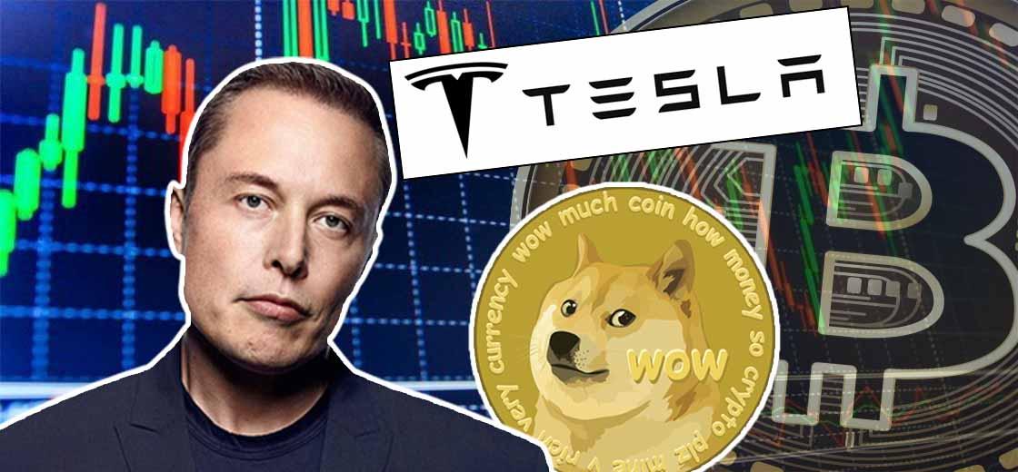 Tesla Elon Musk Dogecoin Fee