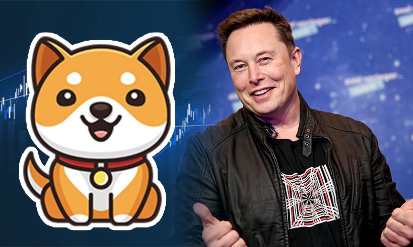 Baby Doge Records 90% Spike Following Tweet from Elon Musk