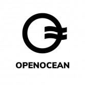 DeFi &amp; CeFi full aggregator OpenOcean aggregates Polygon to expand its trading universe