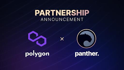Panther and Polygon