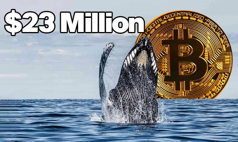 Third-largest Bitcoin whale