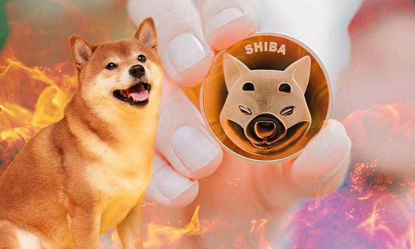 About 41% of the Overall Supply of Shiba Inu has been Burned