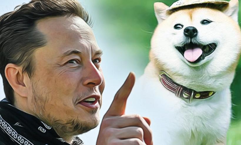 Elon Musk Shiba Inu