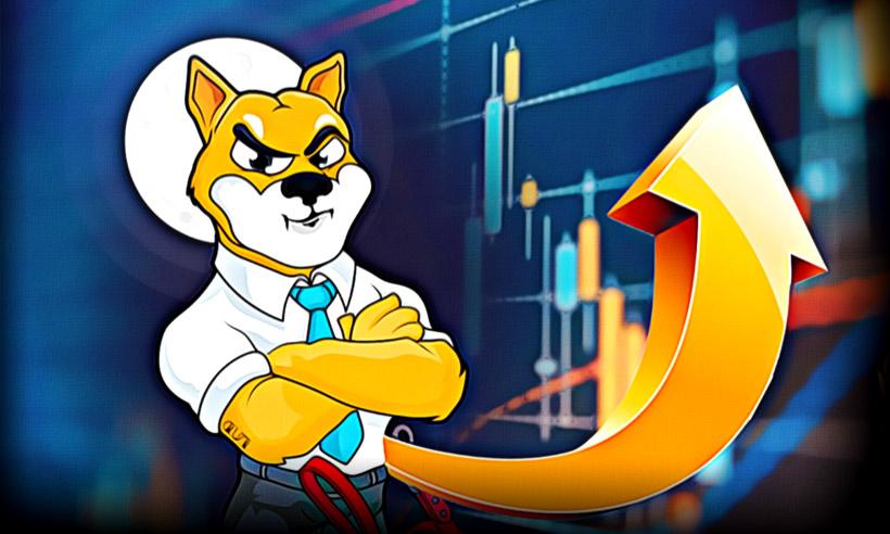 SHIBA INU Price Rally: Is This the Right Time to Invest in This Meme Coin?