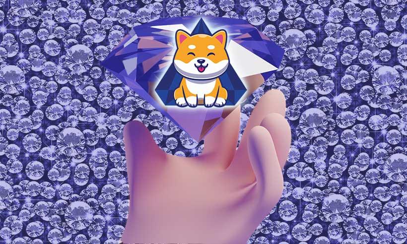 Shiba is Back With a Diamond