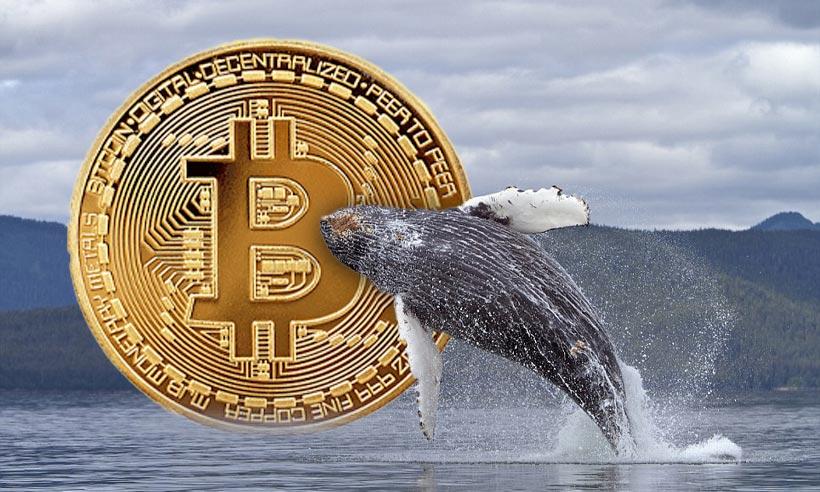 mysterious Bitcoin whale