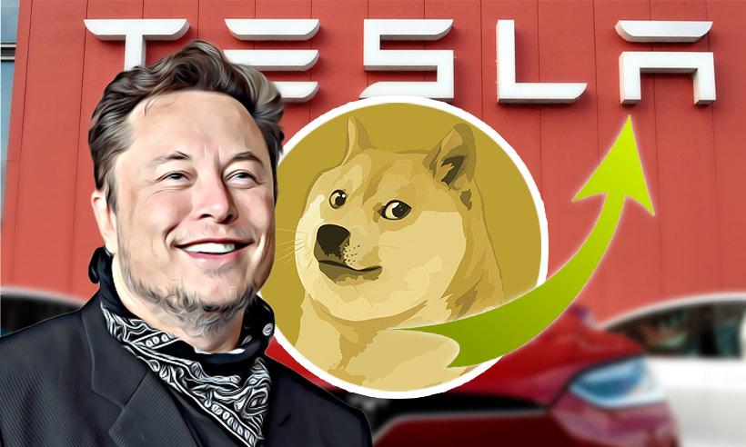 Tesla DOGE