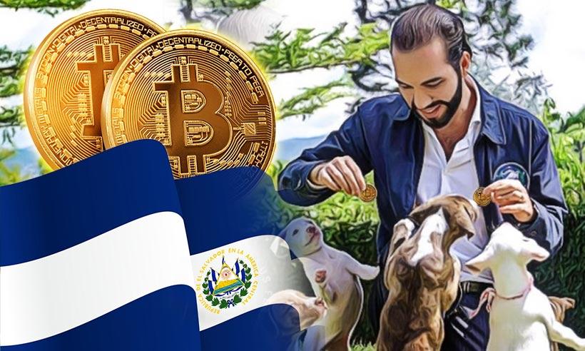 El Salvador Pet Hospital Bitcoin