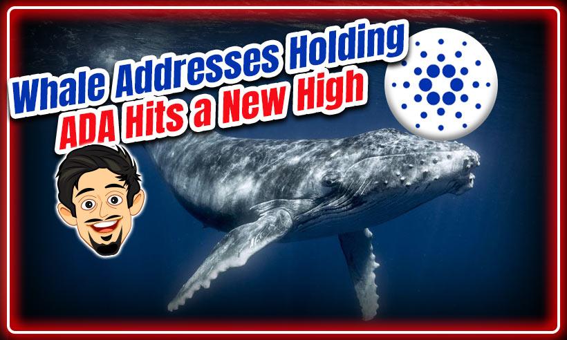 Whale Addresses Holding Cardano (ADA) Hits a New High