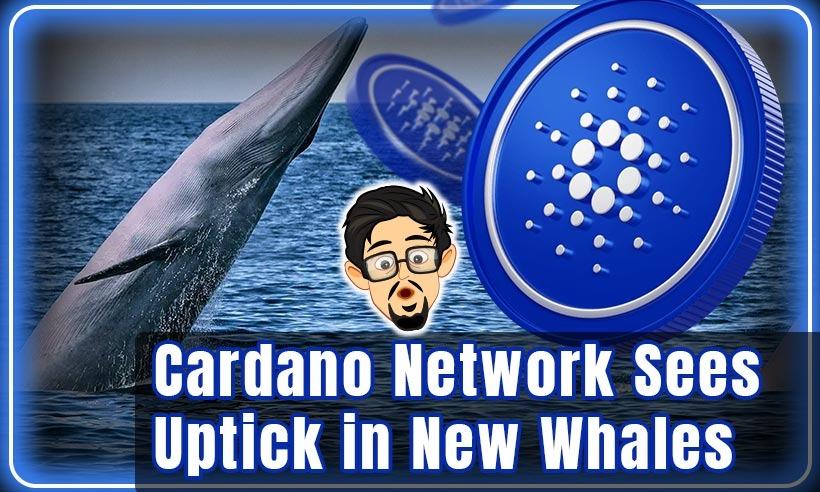 Cardano (ADA) Network Sees Uptick in New Whales Since March
