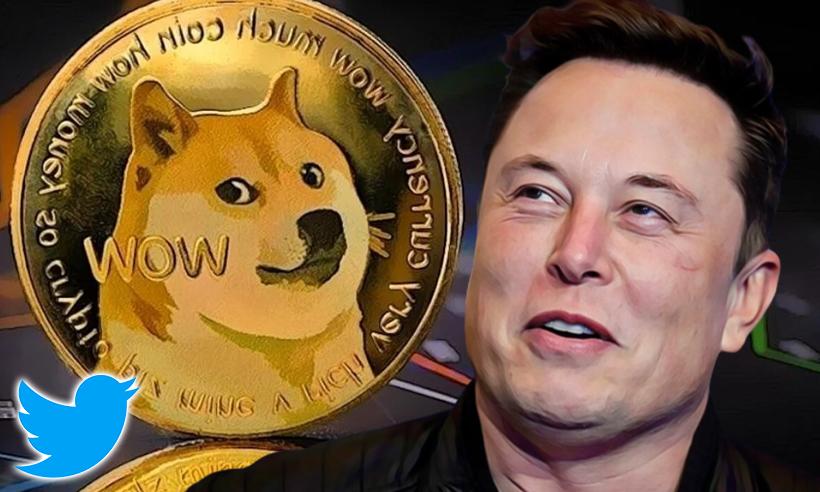 Elon Musk Joins Twitter - What It Means For DOGE?