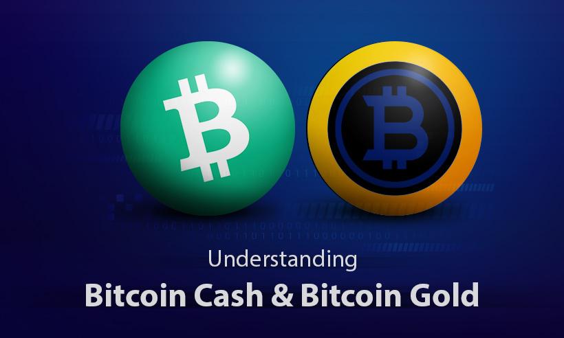 Bitcoin Cash and Bitcoin Gold