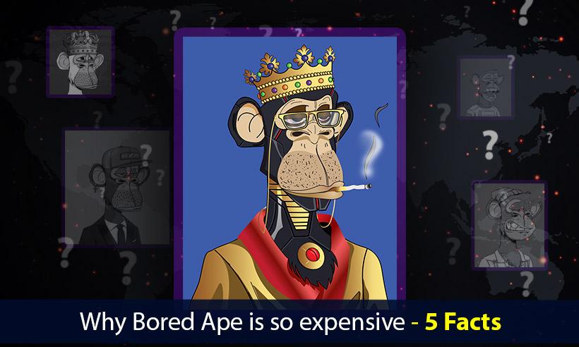 Why Bored Ape is so expensive - 5 Facts