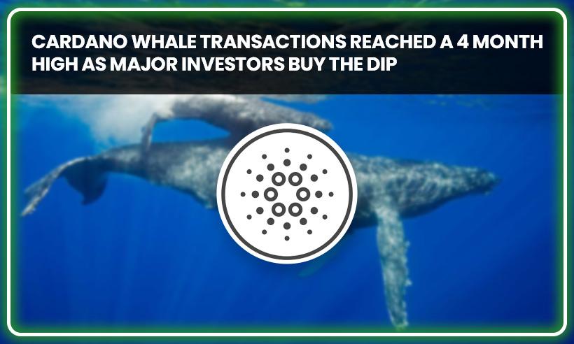 Cardano Whale Transactions Reached a 4 Month High as Major Investors Buy the Dip 
