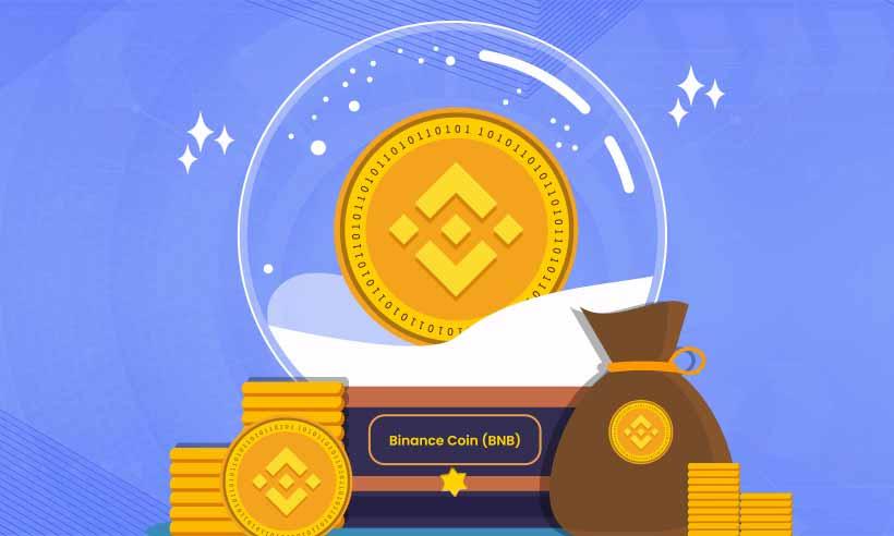 What-is-the-Best-Wallet-to-Store-Binance-Coin