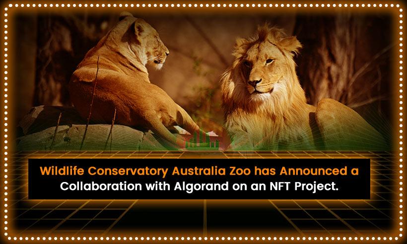 Wildlife Conservatory Australia Zoo has Announced a Collaboration With Algorand on an NFT Project