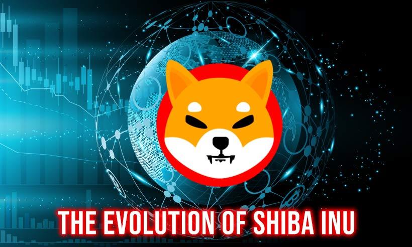 The Evolution of Shiba INU: Is It Still a Meme Coin?