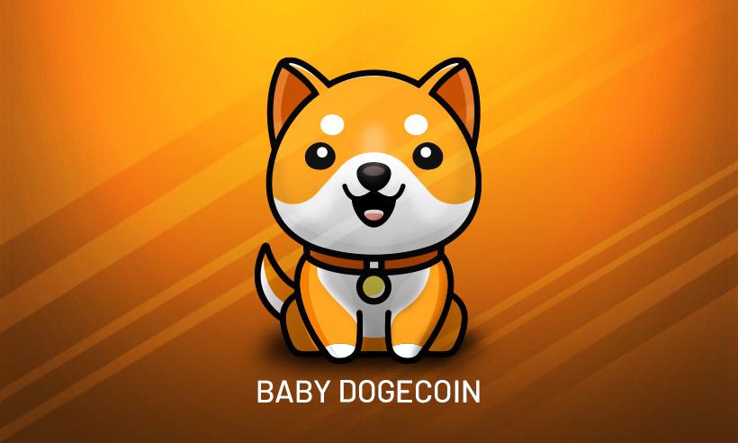 Baby Doge Coin Swap